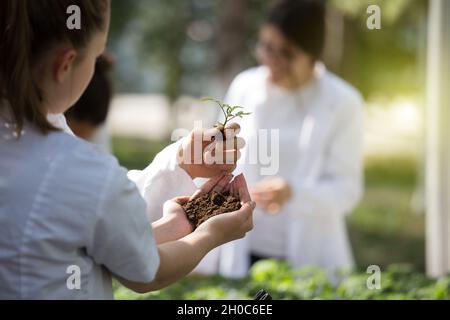 Zwei Agronomen in weißen Mänteln, die sich um die Setzlinge im Gewächshaus kümmern Stockfoto