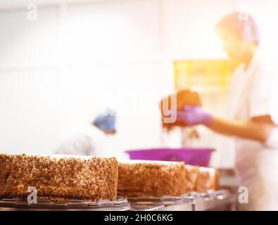 Massenproduktion von Kuchen und Süßigkeiten in der Süßwarenfabrik. Köche machen Kuchen aus frischen Beeren und Keks, Lebensmittelindustrie Stockfoto