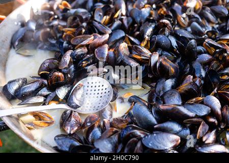 Gekochte Muscheln in Kupfer Kochen Gericht auf dunklem Holz hautnah Stockfoto