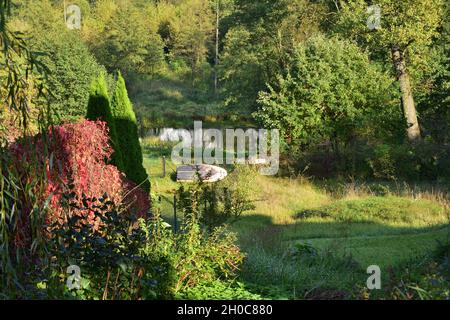 Ein Boot fuhr an einem sonnigen, sonnigen Tag in einem dichten Wald von einem Hügel aus auf ein grasbewachsenes Ufer. Stockfoto