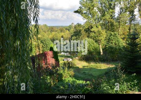 Ein Boot fuhr an einem sonnigen, sonnigen Tag in einem dichten Wald von einem Hügel aus auf ein grasbewachsenes Ufer. Stockfoto