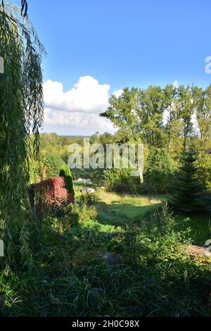 Ein Boot fuhr an einem sonnigen, sonnigen Tag in einem dichten Wald von einem Hügel aus auf ein grasbewachsenes Ufer. Stockfoto