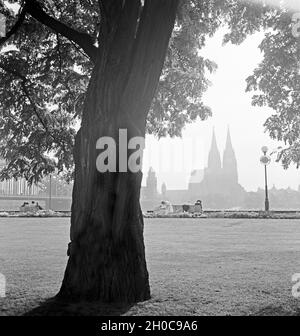 Blick vom Rheinpark in den Dom zu Köln, 1930er Jahre. Blick vom Rheinpark zu den Kölner Dom, 1930. Stockfoto