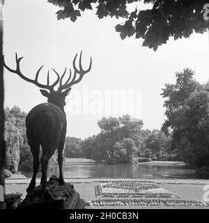 Hirschskulptur im Stadtgarten von Gelsenkirchen, Deutschland 1930er Jahre. Hirsch Skulptur in Gelsenkirchen Stadtgarten, Deutschland 1930. Stockfoto