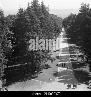 Blick vom Hermannsdenkmal in der Nähe von Hiddesen bei Detmold, Deutschland 1930er Jahre. Blick vom Hermannsdenkmal in Hiddesen bei Detmold, Deutschland 1930. Stockfoto