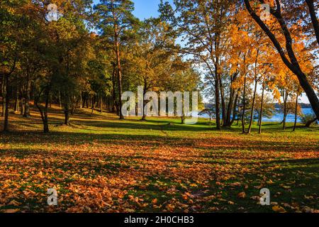 Wunderschöne Herbstlandschaft mit bunten Bäumen rund um den Teich Stockfoto