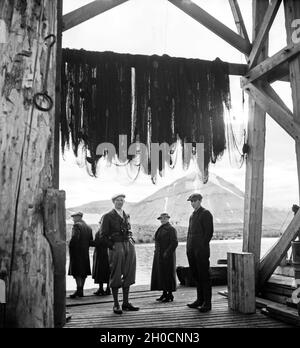 Impression einer Reise nach Norwegen, 1930er Jahre. Eine Reise nach Norwegen, 1930er Jahre. Stockfoto