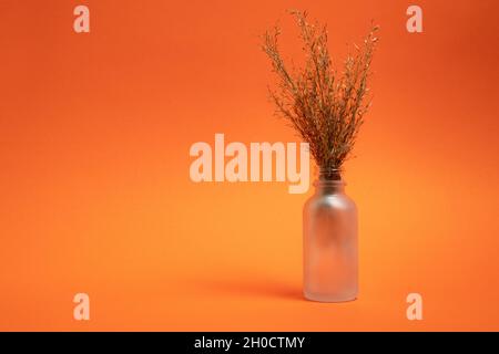 Trockenblumen in einer Flasche Stockfoto