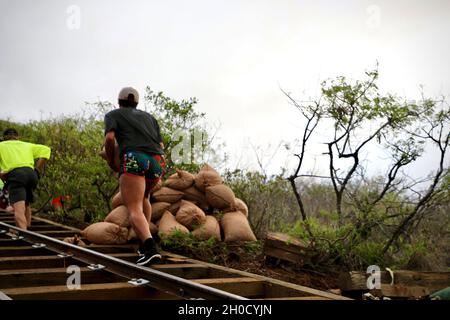 HONOLULU, Hawaii - Artilleriesoldaten der 25. Infanterie-Division tragen am 27. Januar 2021 Schottersäcke auf dem Wanderweg des Koko-Kraters, um bei der Treppenreparatur der Koko Koalition zu helfen. Die Artillerie der 25. Infanterie-Division und das 2. Bataillon, 11. Feld-Artillerieregiment haben ihre Zeit und ihre Hilfe freiwillig geleistet, um an der Initiative zur Treppensanierung mitzuwirken, um der Gemeinschaft etwas zurückzugeben und sicherzustellen, dass die Treppe auch in den kommenden Jahren von unserem Oahu Ohana genossen werden kann. Stockfoto