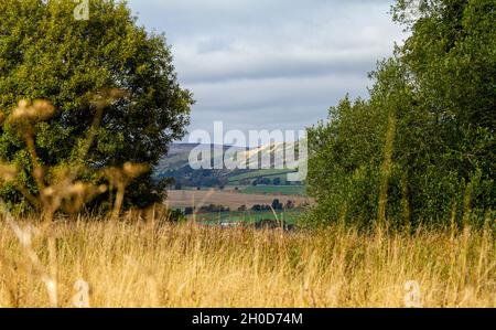 Dundee, Tayside, Schottland, Großbritannien. Oktober 2021. UK Wetter: Ein heller Herbsttag mit gelegentlichen Sonneneinstrahlungen in Nordostschottland, Temperaturen bis zu 15 Grad Farbenfrohe Herbstlandschaft auf dem Land und fruchtbares Ackerland im ländlichen Dundee mit einem spektakulären Blick auf die schönen Sidlaw Hills im Hintergrund. Kredit: Dundee Photographics/Alamy Live Nachrichten Stockfoto