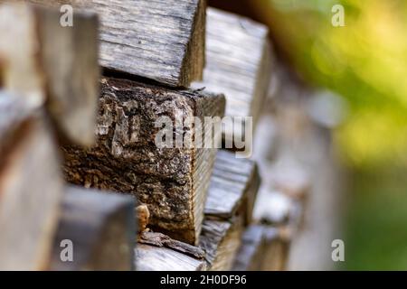 Stapel von gehacktem Feuerholz vor grünem Hintergrund, Nahaufnahme und selektiver Fokussierung Stockfoto