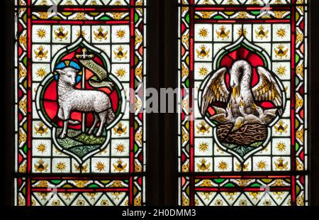 Fleckglasfenster, St. John the Baptist Church, Campsea Ashe, Suffolk, East Anglia, England Stockfoto