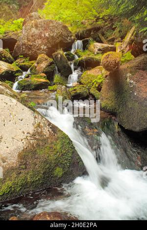 stromschnellen auf dem wilden Fluss im Wald - Wasser fließt über Felsen Stockfoto