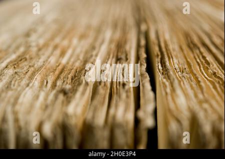 Makrodetails von Seiten eines antiken Buches Makrodetails von Seiten eines antiken Buches