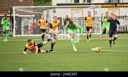 Rushall Olympic / Tamworth FC Stockfoto