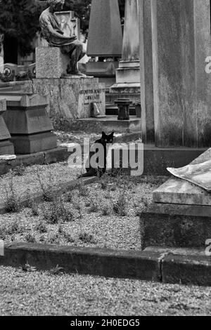 Cimitero Monumentale di Milano, 01. Oktober 2016 Stockfoto