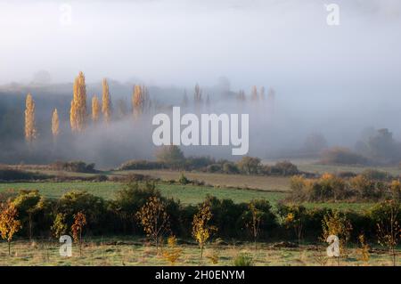 Wunderschöne Herbstlandschaft in Navarra. Felder und Wald mit Nebel im Hintergrund. Navarra, Spanien, Europa Stockfoto