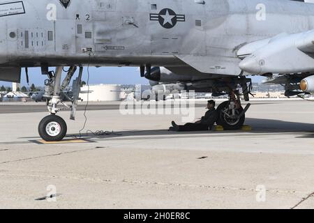 Der Crewchef Airman 1st Class Janeric Malenab von der 354th Aircraft Maintenance Unit der Davis-Monthan Air Force Base, Arizona (DMAFB), ruht auf dem Steuer eines A-10 Thunderbolt II-Flugzeugs, während er auf die Startfreigabe von der Verkehrskontrolle der Naval Air Station North Island wartet. Mitglieder der 61. Airlift Squadron aus der Little Rock AFB und des 354. Fighter Squadron aus der Davis-Monthan AFB, Arizona, haben sich zusammengetan, um dem Marine Corps während der Winter Fury 21' Übung logistische und Bodenunterstützung zu bieten. Stockfoto