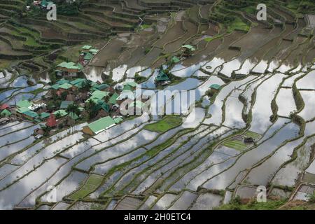 Überblick über die Reisterrassen von Batad in der Nähe von Banaue, Provinz Ifugao, Philippinen Stockfoto