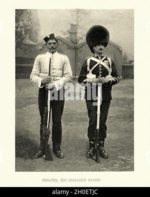 Vintage Photograph von Soldaten der britischen Armee, Privates 3. Grenadier Guards, Militäruniform, viktorianisches 19. Jahrhundert Stockfoto