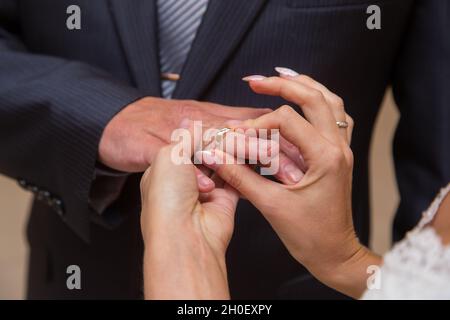 Die Hände der Braut legten einen Ring auf den Ringfinger ihres Mannes. Groß, nah. Der Mann in der Jacke. Stockfoto