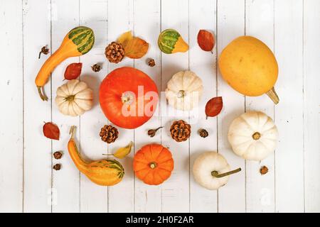 Verschiedene saisonale Kürbisse und Kürbisse mit Herbstblättern auf weißem Holzhintergrund angeordnet Stockfoto