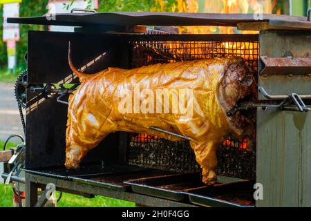 Spanferkel oder geröstetes Schwein auf dem Grill Stockfoto