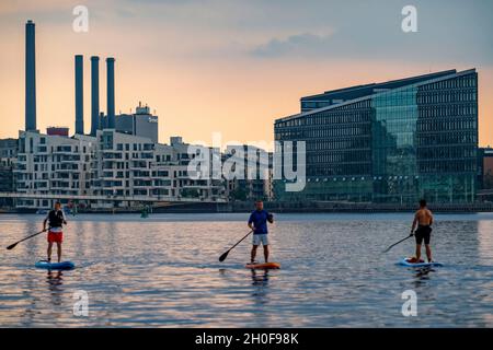 Stand-up-Paddler auf Sydhavnen, Bryggebroen-Brücke dahinter, Kopenhagen, Dänemark, Stockfoto