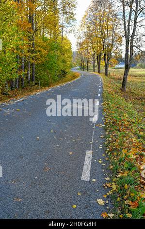 Landstraße im Herbst Landschaft Oktober Schweden Stockfoto