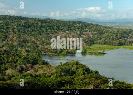 Der tropische Regenwald in Gamboa entlang des Panamakanals, Gatun See, Panama, Mittelamerika Stockfoto