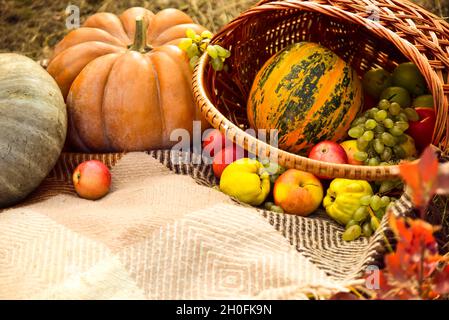 Schöner Herbst Thanksgiving Hintergrund mit Kürbis und Apfelernte. Frisches und biologisches Gemüse und Obst. Äpfel, Trauben und Kürbisse liegen darin Stockfoto
