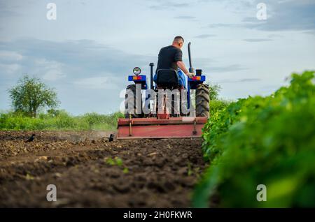 Cherson Oblast, Ukraine - 29. Mai 2021: Ein Landwirt auf einem Traktor arbeitet auf dem Feld. Saisonarbeiter. Rekrutierung und Einstellung von Mitarbeitern für die Arbeit in der Ferne Stockfoto