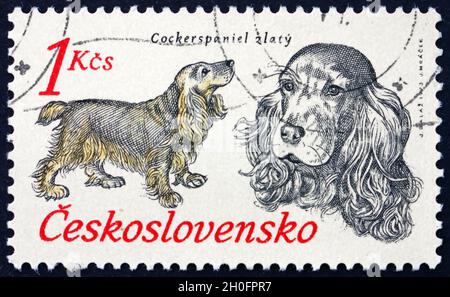 TSCHECHOSLOWAKEI - UM 1973: Eine in der Tschechoslowakei gedruckte Marke zeigt Cocker Spaniel, Hunting Dog, um 1973 Stockfoto