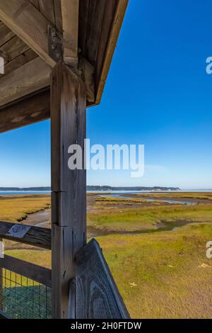 Boardwalk über die Mündung und das tidly überflutete Watt von Billy Frank Jr. Nisqually National Wildlife Refuge, Washington State, USA Stockfoto