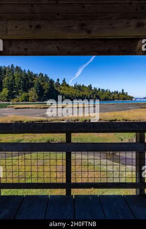 Boardwalk über die Mündung und das tidly überflutete Watt von Billy Frank Jr. Nisqually National Wildlife Refuge, Washington State, USA Stockfoto