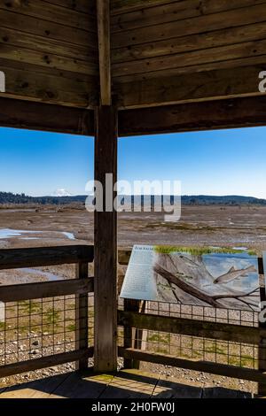 Boardwalk über die Mündung und das von der Flut überflutete Watt, mit Mount Rainier in der Nähe, im Billy Frank Jr. Nisqually National Wildlife Refuge, Washington Stockfoto