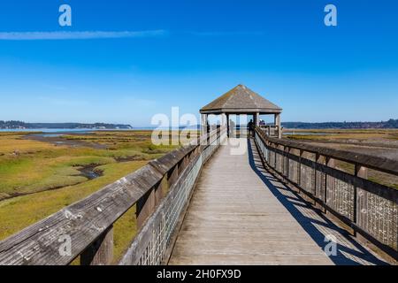 Boardwalk über die Mündung und das tidhaft überflutete Watt von Billy Frank Jr. Nisqually National Wildlife Refuge, Washington State, USA [Keine Model-Veröffentlichung Stockfoto