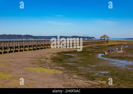 Boardwalk über die Mündung und das tidly überflutete Watt von Billy Frank Jr. Nisqually National Wildlife Refuge, Washington State, USA Stockfoto