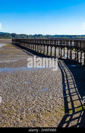 Billy Frank Jr. Nisqually National Wildlife Refuge, Staat Washington, USA Stockfoto