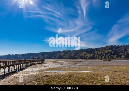 Boardwalk über die Mündung und das tidly überflutete Watt von Billy Frank Jr. Nisqually National Wildlife Refuge, Washington State, USA Stockfoto