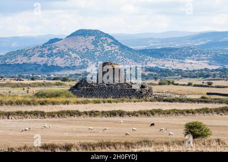 Atemberaubende Landschaft mit dem alten Santu Antine Nuraghe und einigen Schafen im Vordergrund. Stockfoto