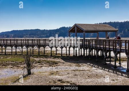 Boardwalk über die Mündung und das tidhaft überflutete Watt von Billy Frank Jr. Nisqually National Wildlife Refuge, Washington State, USA [Keine Model-Veröffentlichung Stockfoto