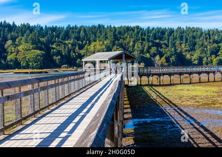 Boardwalk über die Mündung und das tidhaft überflutete Watt von Billy Frank Jr. Nisqually National Wildlife Refuge, Washington State, USA [Keine Model-Veröffentlichung Stockfoto