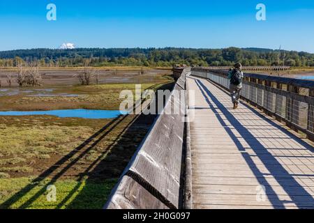 Boardwalk über die Mündung und das tidly überflutete Watt von Billy Frank Jr. Nisqually National Wildlife Refuge, Mount Rainier Distant, Washington State Stockfoto