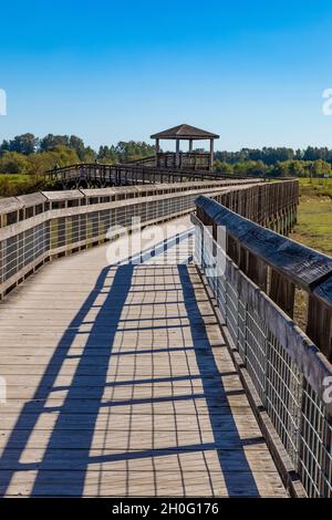 Boardwalk über die Mündung und das tidly überflutete Watt von Billy Frank Jr. Nisqually National Wildlife Refuge, Washington State, USA Stockfoto