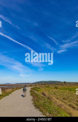 Fahren Sie entlang des alten Farmdeiches im Billy Frank Jr. Nisqually National Wildlife Refuge, Washington State, USA Stockfoto