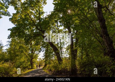 Frauen, die im Billy Frank Jr. Nisqually National Wildlife Refuge, Washington State, USA, einen Weg zu den Twin Barns gehen [Keine Model-Releases; redaktionelle Lizenz Stockfoto