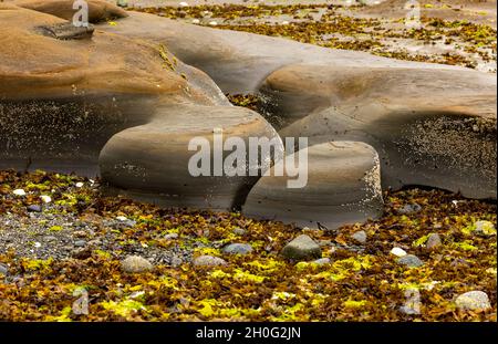 Felsmuster an der Küste - Story's Beach - Port Hardy, Vancouver Island, British Columbia, Kanada Stockfoto