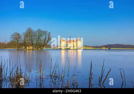 Moritzburg bei Dresden, Sachsen, Deutschland: Winterlich Schloss Moritzburg und Enteninsel mit Baumgruppe im halbgefrorenen Schlossteich. Stockfoto