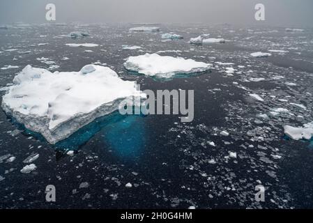 Drift Eis und Eisberge bei Schneefall. Südlicher Ozean, Antarktis Stockfoto